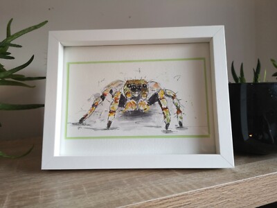 Spinnen Tarantel Original Kunst Zeichnung gerahmt Stift und Aquarell Gemälde 