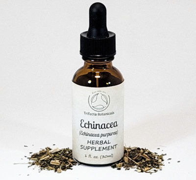ECHINACEA TINCTURE - Liquid Herbal Extract - Organic Echinacea purpurea Herb