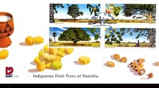 ALIMENTO PARA ÁRBOLES FRUTALES INDÍGENAS 2000 NAMIBIA FDC