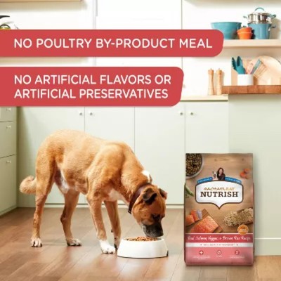 Rachael Ray Nutrish Gentle Digestion Veggies & Brown Rice Dry Dog Food 26 lbs