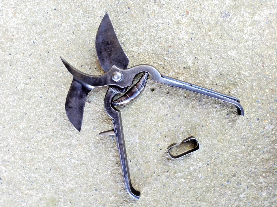 ANCIEN SECATEUR AVEC SERPE EN METAL FORGE - OUTIL DE VITICULTEUR VIGNE - - Photo 2/4