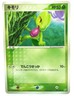 Treecko 004/080 Team Magma vs Team Aqua Japanese Pokemon NM
