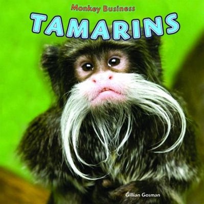 Tamarins Library Binding Gillian Gosman
