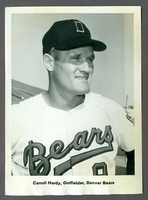 denver bears baseball hat