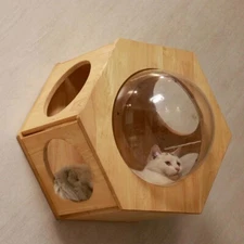 PETOMG Cat Wall House, Cat Perch, Large Cat Shelf with Spaceship| Rubber Wood