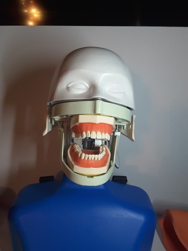 Dental Chair Manikin Phantom Head Simulation Training Head Dentistry Student - Picture 3 of 12