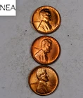 1954+1954-D+1954-S Lincoln Wheat Penny Cent Set/Lot ~ Gem BU Red ~ ZWL50