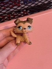 Littlest Pet Shop Rare Brown Collie #893 ⭐