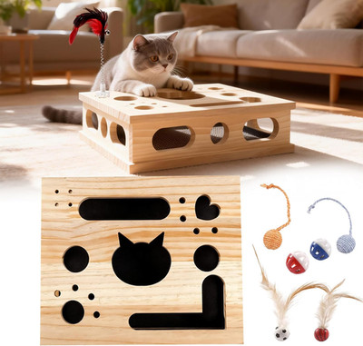 2026 New Model Cat Nail File Enrichment Box Cat Nail File Box with Sandpaper Str