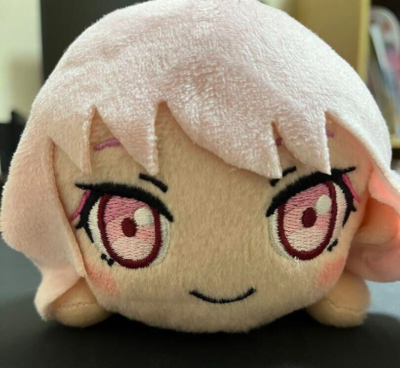 Project Sekai Colorful stage! Mizuki Akiyama Nesoberi Plush Doll