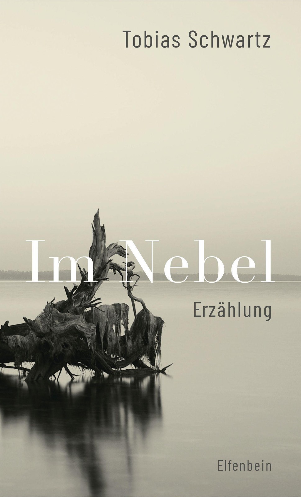 Im Nebel Tobias Schwartz - Bild 2