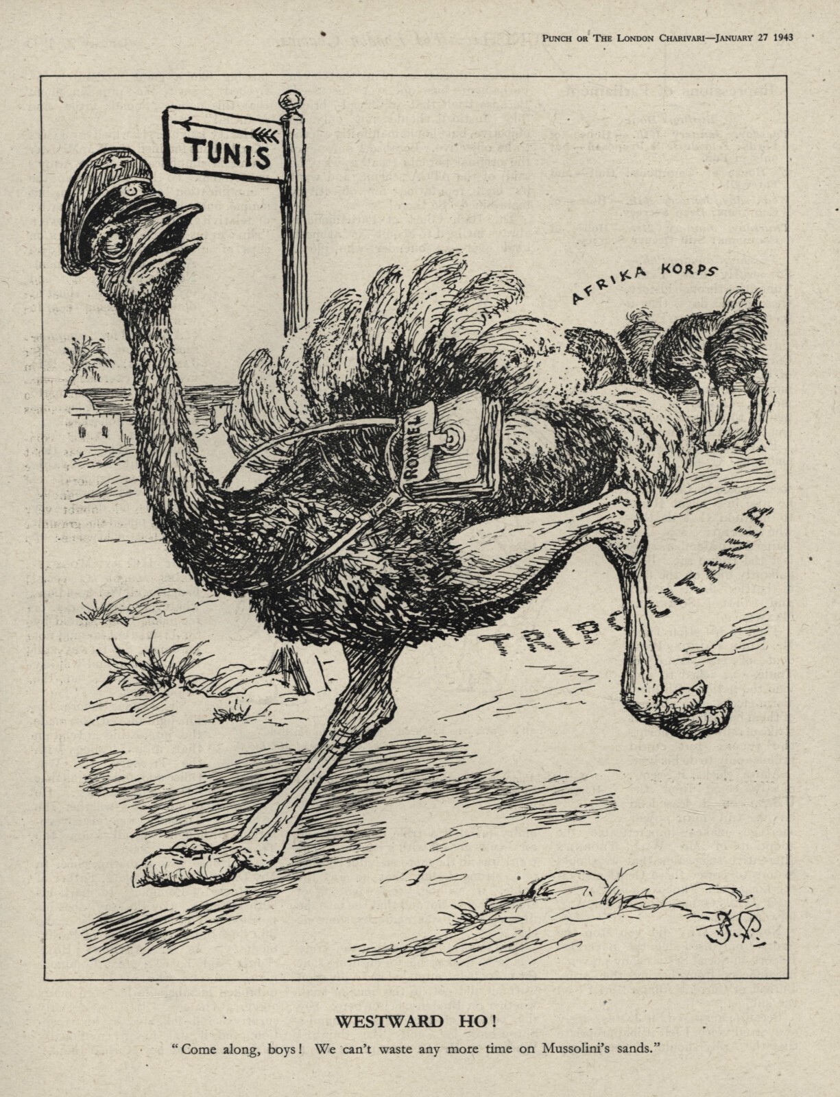 Rare WW2 British Cartoon Rommel Ostrich Afrika Korps Western Desert Campaign