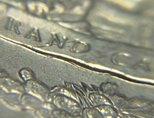 2008 P Arizona Quarter Die Breaks/Chips Double Die Lettering Extra Cactus Errors - Picture 15 of 19