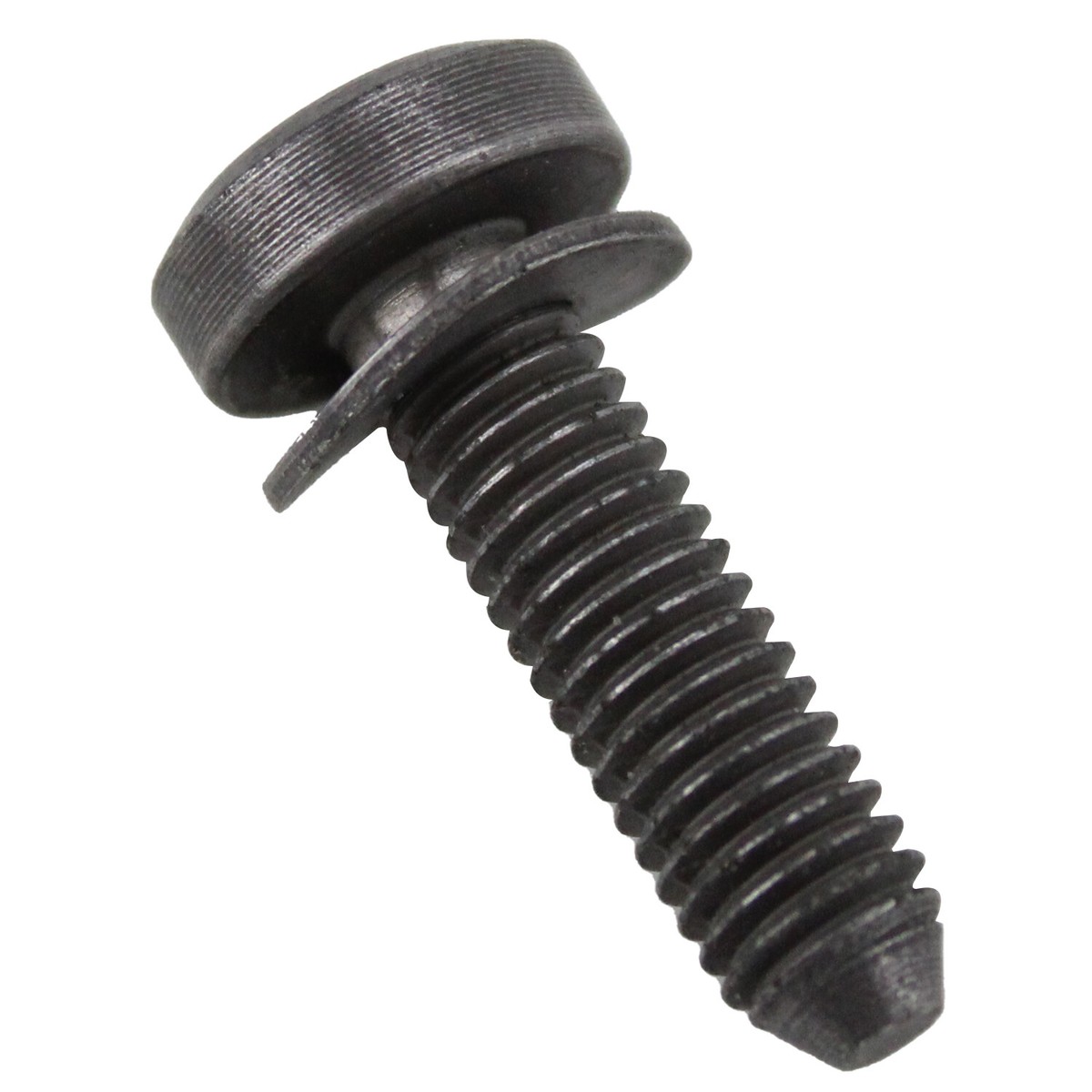 ZF Transmission Pan Bolt (6 X 22 mm Torx Head) 0736 300 725 | eBay