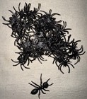 Handful Of Creepy Crawling Plastic Spiders & 1 Ant | Halloween Decoration — photo 1