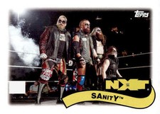 SAnitY 2018 Topps WWE Heritage - Tag Teams and Stables #TT-18 -