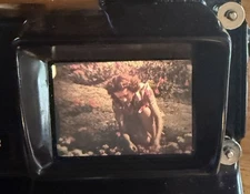 8mm Film Lady Of The Flowers Gardens Arrangements 1940s Home Movie