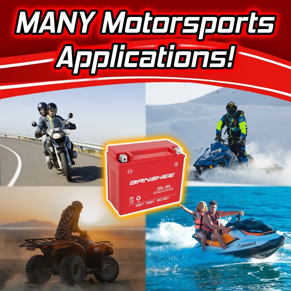 BIG DOG-Chopper Series 2007-05' Replacement Battery by BANSHEE 4 Year Warranty - Image 3 of 4