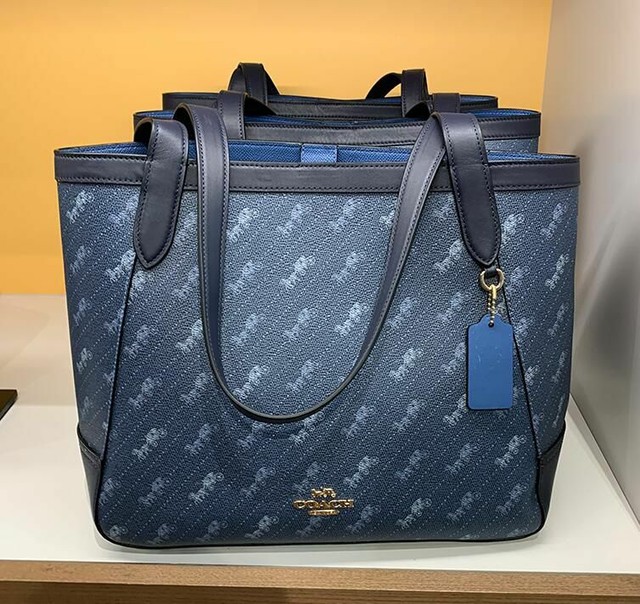 coach c4061
