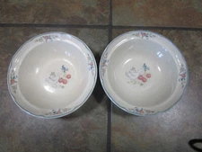 INTERNATIONAL CHINA  'MARMALADE' SET OF (2) 6 7/8" SOUP / CEREAL BOWLS  ~ VGUC