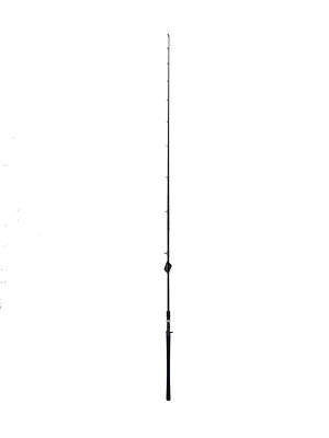 Saint Hammer IM8 Carbon 8ft 2pc 20-40LB Casting Rod