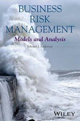 Business Risk Management: Models and Analysis by Edward J. Anderson (English) Ha
