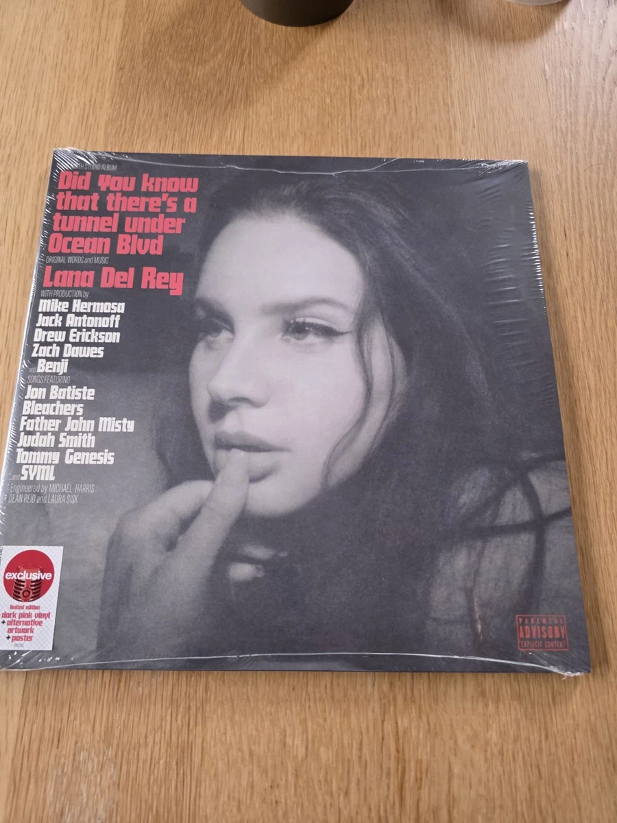 Preços baixos em Perfeito (M) Lana Del Rey Discos de vinil de