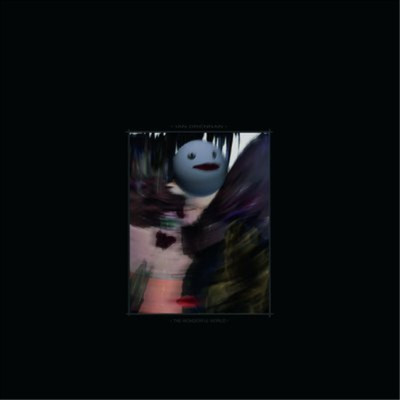 Ian Drennan The Wonderful World (Vinyl) 12'' Album (US IMPORT)
