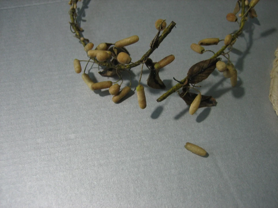 Ancienne Couronne de Mariée en Cire avec Pochette Brodée - Photo 2/4