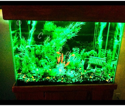 LED Aquarium Lights 20 Colors and Motion Options 60 inch Line Strip w/Remote - Picture 5 of 11