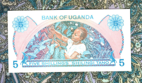 Grandi banconote storiche Uganda 1979 5 scellini P-10 UNC prefisso A/85 - Foto 3 di 3