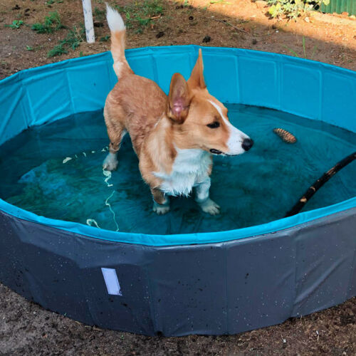 Piscina per Cani Rigida Piscinetta in PVC Pieghevole Bagno Animali Esterno - L - Bild 8 von 8