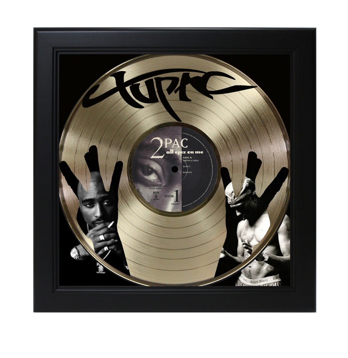 Tupac 2 Pac Gold or Platinum LP Framed Shadowbox Wall Art Display