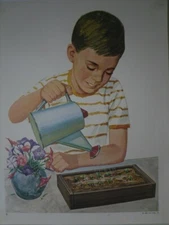 Boy Watering Flowers Art Print - David C Cook 1967 