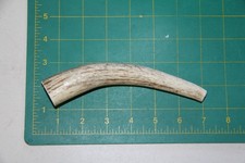 Small Upper Elk Antler Dog Chew 7 / bone chews moose treats deer 1021