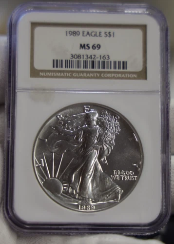 1989  US Silver Eagle $1 NGC MS69 Brown Label