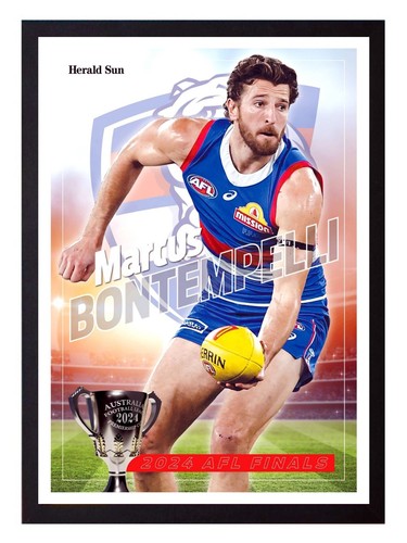 Framed 2024 Western Bulldogs AFL Finals Poster Marcus Bontempelli 62 x 44cm - Picture 1 of 4