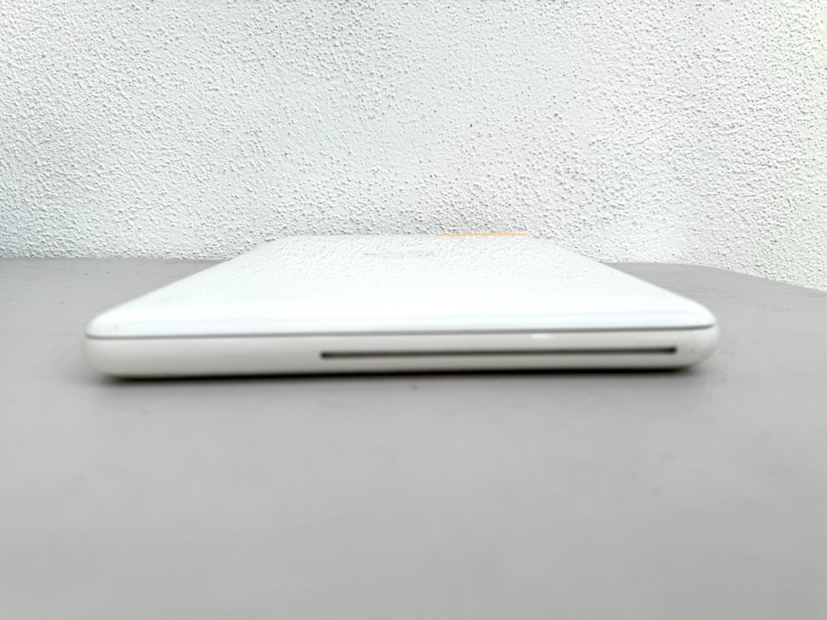 Apple 13
