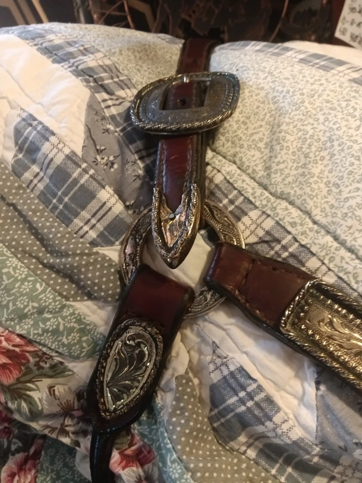 STUNNING Custom Made. Markings-Mexico-German Silver / HALTER & LEAD~Showmanship - Image 4 of 4