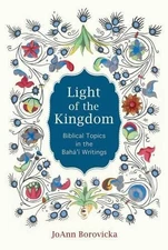 Joann Borovicka Light of the Kingdom (Paperback)