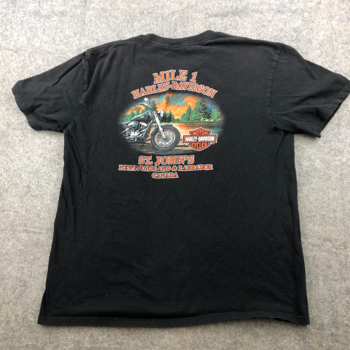【USA製】 HARLEY-DAVIDSON ヴィンテージTシャツ XLサイズ 00's USA製 Harley Davidson T-Shirt XL / ハーレーダビッドソン T
