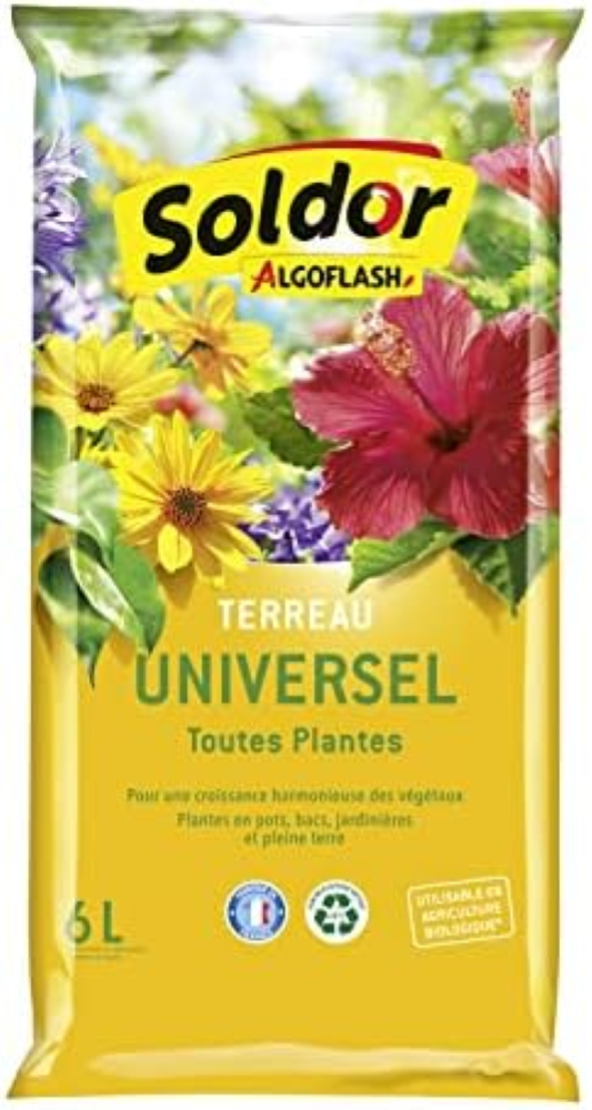 Algoflash Terriccio Semis, Boutura,Ripiaggio, Trasparente