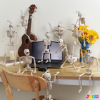 5 PCS Posable Halloween Skeleton Decor 16 Inches, Full Body Posable ...