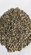 2.5kg GREY STRIPED Sunflower Seed Rabbit Mice Hamster Chicken Bird Food 2500gram