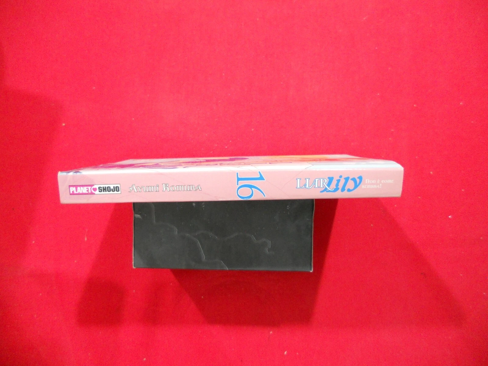 Foto 103 di 250