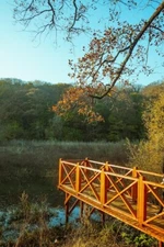 Digital Image Picture Photo Pic Wallpaper Background A Pier at a Lake