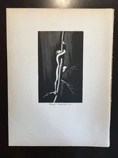Vintage Rockwell Kent ~Almost~ 1933 Lithograph Art Print MCM Mid Century Modern