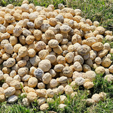 Quartz Geodes - Break Your Own Geode – Unbroken Quartz Crystal