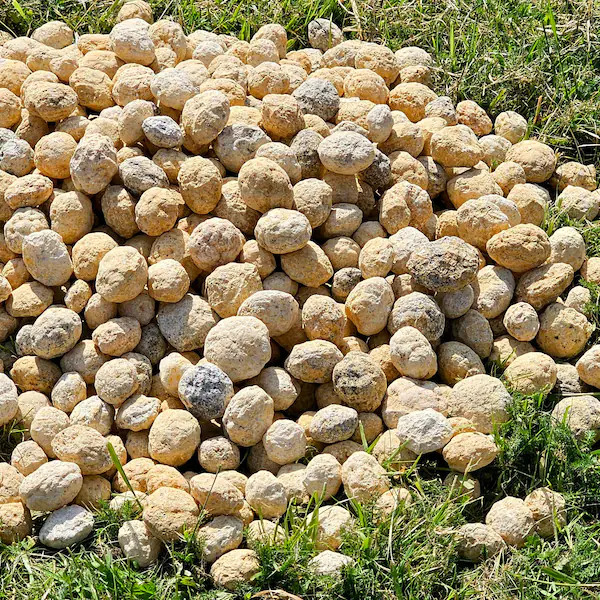 Quartz Geodes - Break Your Own Geode – Unbroken Quartz Crystal