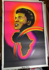 BLACK PRIDE 1972 VINTAGE BLACKLIGHT POSTER By PRO ARTS -NICE!